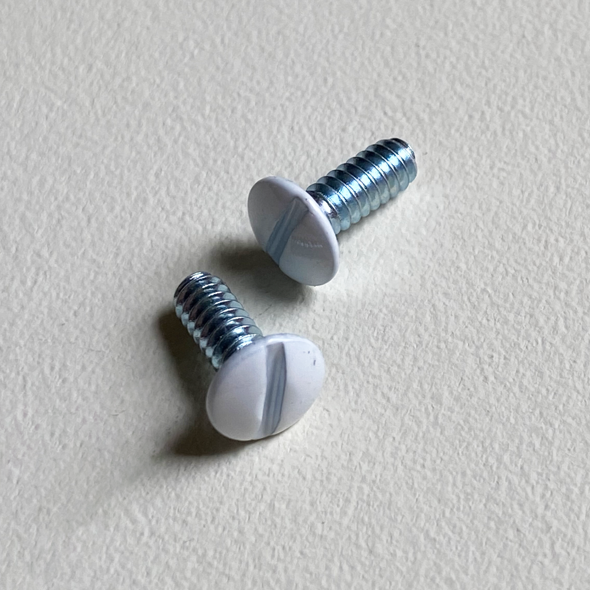Switch Cover Screws Leela Made